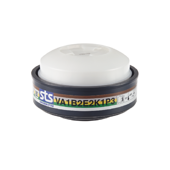 [6042] FILTRO GAS COMBINADO VA1B2E2K1P3